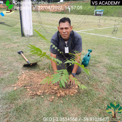 Item #8500196597889277390194123329501889087166328879864934763448348823716313956353 Media