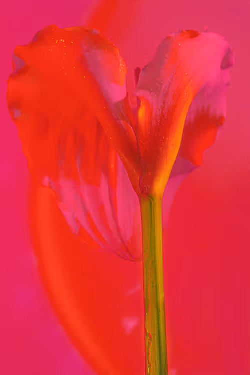 Item #6543125285758794139519418366552479585360659536622126303737985068357289771009 Media