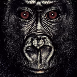 109162157552346088047496633038404394118504199992061596446112929752464733765633