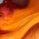 64336669746877149770964145345339854202232650155870837028889065777006574043137