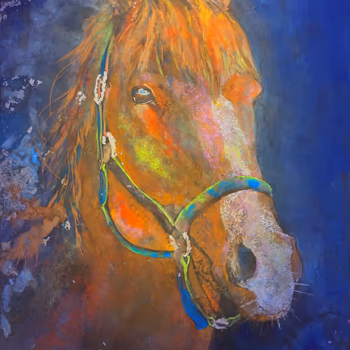 Untitled Collection #2315072601