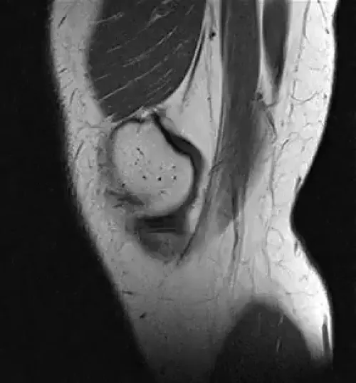 Item #11780915356901891937150191052604117223978980698243640119023280897064192442369 Media