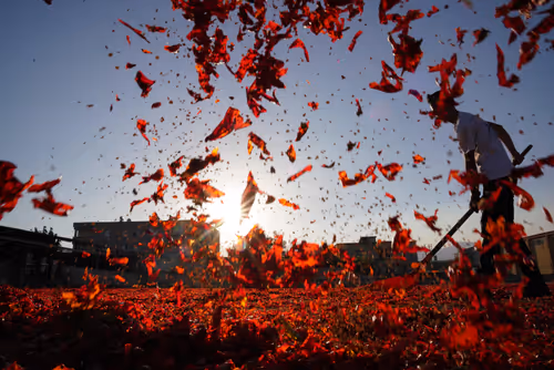 Item #108025279282686658453897007890629891637526310304717906993258638160067154673718 Media