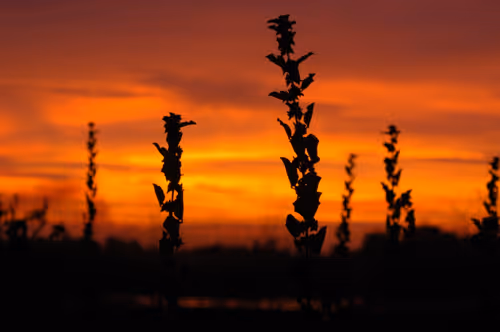 Item #84959981716225864493476618462304724133826851655422953024680602890280074477569 Media