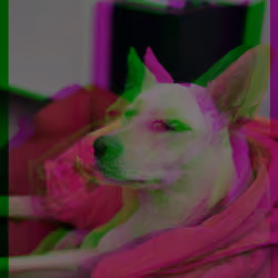 3Dog