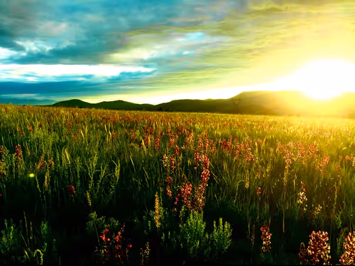 Item #3545434364027388159524564873243937151540135402704887169129841895655432257537 Media