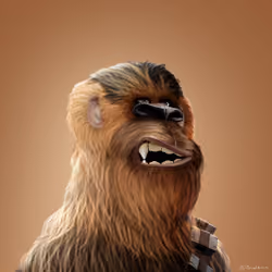 HAPE ICONS #4 | CHEWBACCHAPE