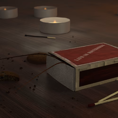 Life in matchbox