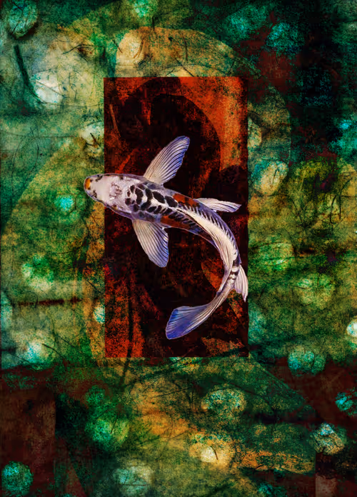 Item #99440989143313326318844898632848722044945652969793679238659256396689275092993 Media