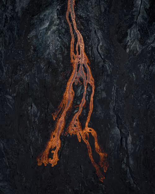 Item #94238118312909914602868952656664220449948970021665358348110511904517886312449 Media