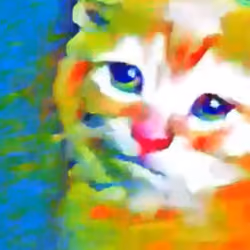 Baby Cat