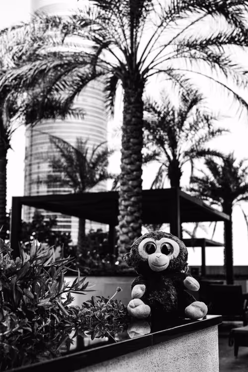 Item #78523124948883737191824425685370443041181342440538518293301156645974411575297 Media