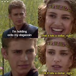 Join the Doge side