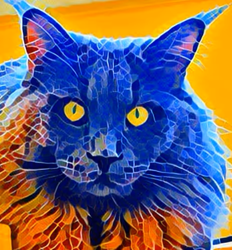 CAT_003