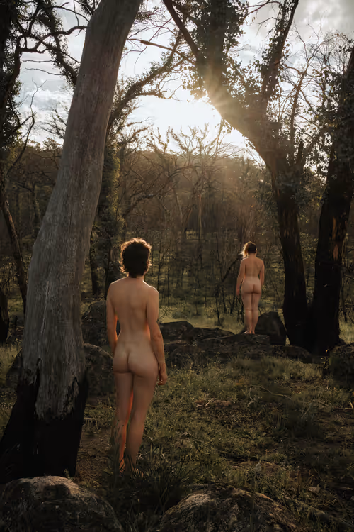 Item #61391337171317140422773218600803831211988989866451472612993262346083288219649 Media