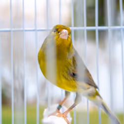 29357035740362283304193054454536633820304787893462387818966021851490858041345