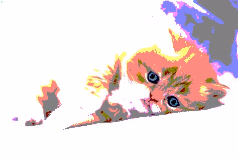 Item #23538819986925566434507765811444276093104658907602947149672917408678626197505 Media