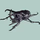 32999669150387612256646599435458794255997932532429258788532179068683487805441