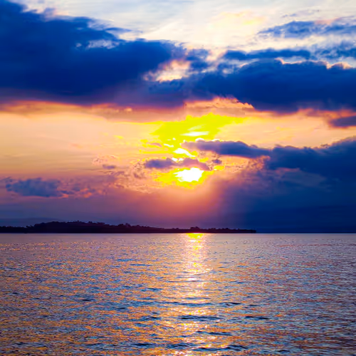Kuraupuuna