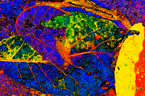 Item #11128123256113201505825332092376579448973501376012613523417643029382972833793 Media