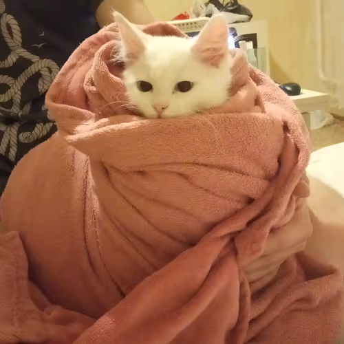 Item #763224073280193224173041358155125596503139434424356380946212162959155658753 Media