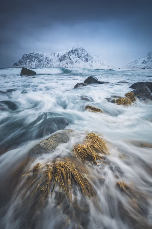 Item #28682539069684656541734828821976802711290237176293642286881478780263579254785 Media