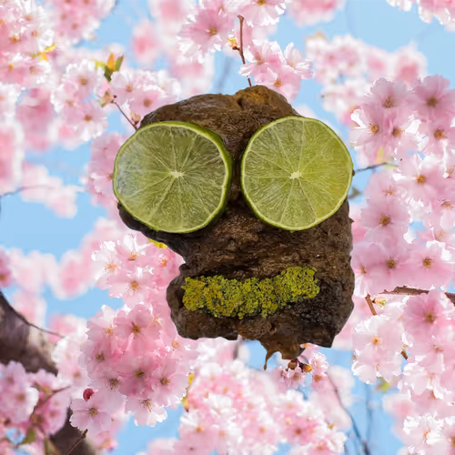 Item #100909502448086356706660368779487088653809768188601857193380371878553885605889 Media