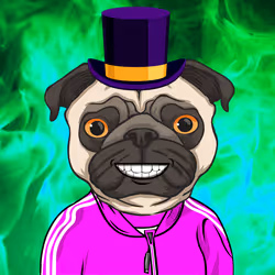 85536923797864075655485684241418953431230894352078393540716038998472192425985