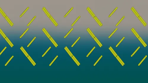 Item #7541943216586453029444613808573987944286722144395641993300167946145688977409 Media