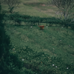 #29 lonely