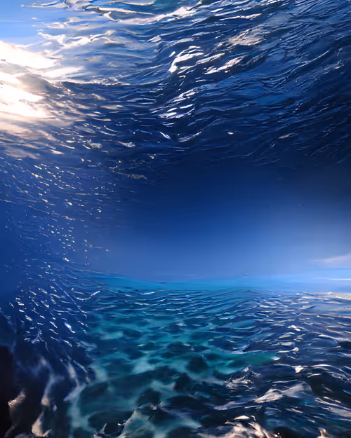 Item #39266985967464638182036215616873438919621870542242035517942535778837676949505 Media