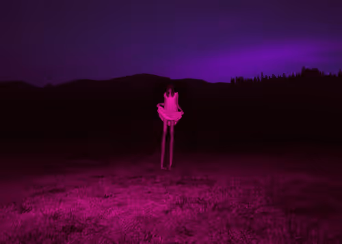 Item #3601436234996315430006013910499200169478742861984113335982183041990689554433 Media