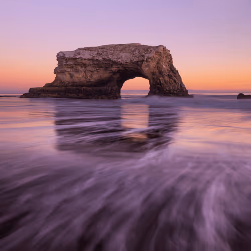 Editions By Ryan Warner