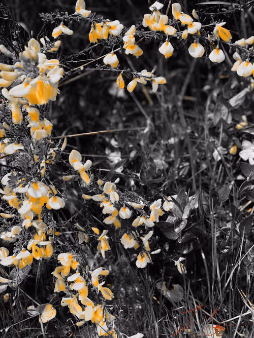 Item #20976301758881134831989222665278936219784108903075361536191037491955950944257 Media