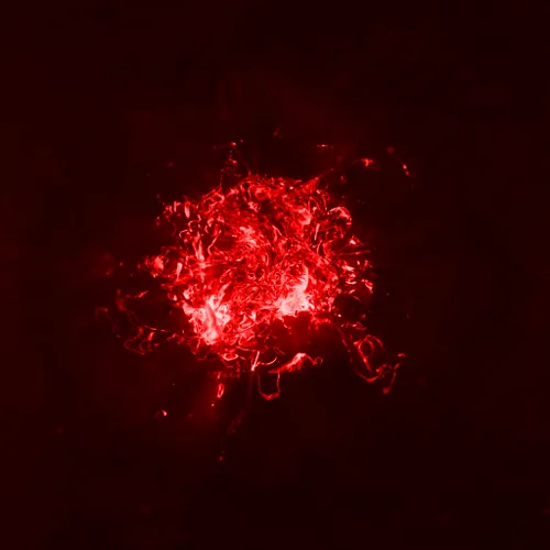 Item #28252881351676997068647992630968638413296009839210037111965645865904053944321 Media