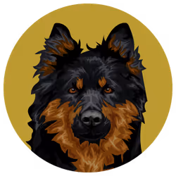 54766349128176429303044182404049584425310907481653304317570413973813285879809