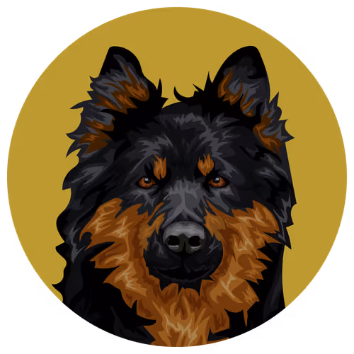 Item #54766349128176429303044182404049584425310907481653304317570413973813285879809 Media