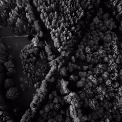 BLACK & WHITE CrossRoads from the Sky 7/8