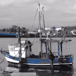 Blue Boat