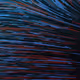 74244489624998284616101192068117033665550974455497571009031219182977123614721