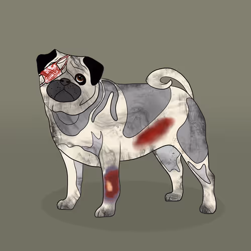 Item #18929025953091685879740265421444029621973902778044225700407145456108029607937 Media