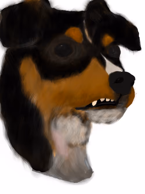 Item #67433175469740627574343101452183976857350279840559412360518075880477967777793 Media