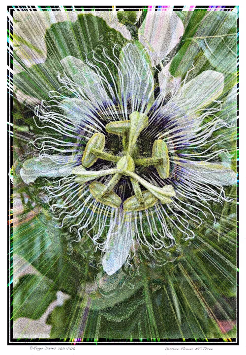 Item #6968899724388266606176016145545160509277227480062482001621938839296780796004 Media