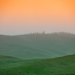 Tuscan dream
