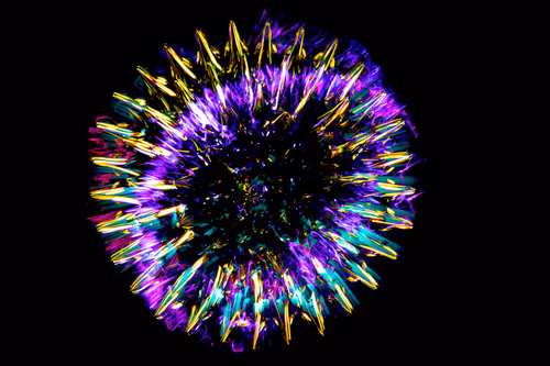 Item #36961558667508468901754344417864317572364831153456800218286958041318310281217 Media