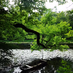 Peaceful Life