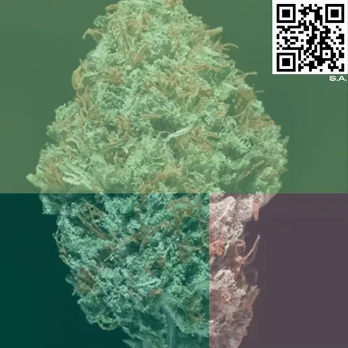 61089433673675855013240100592429788426200334601701735580530433772997840994305