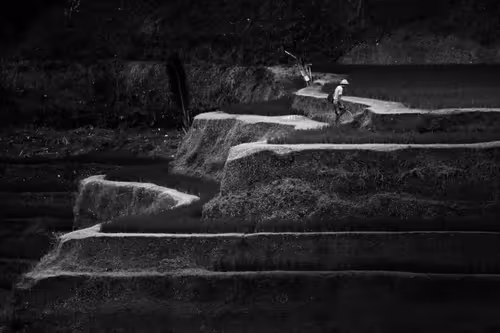 Item #97299197670576688169135242576959850036431919373710156993917717279699279806465 Media