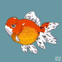 [ No.52 ] 