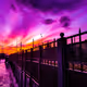 Tales of Purple skies #5